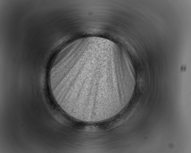 X0000102870591200809021449