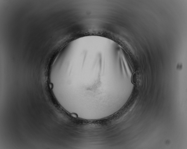 X0000102870593200809021449