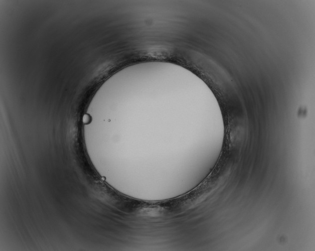 X0000102870595200809021449