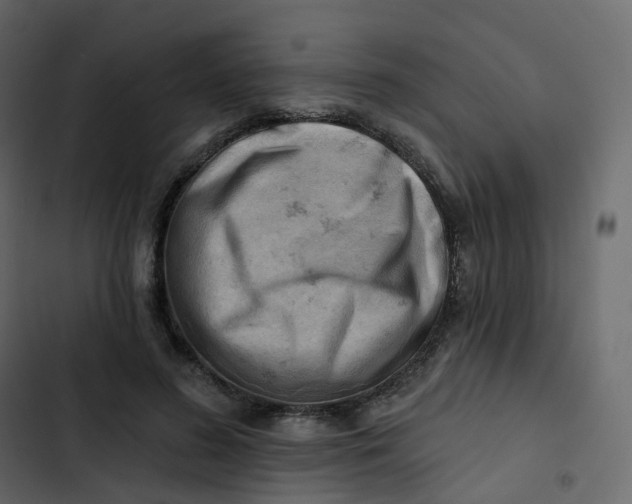 X0000102870596200809021449