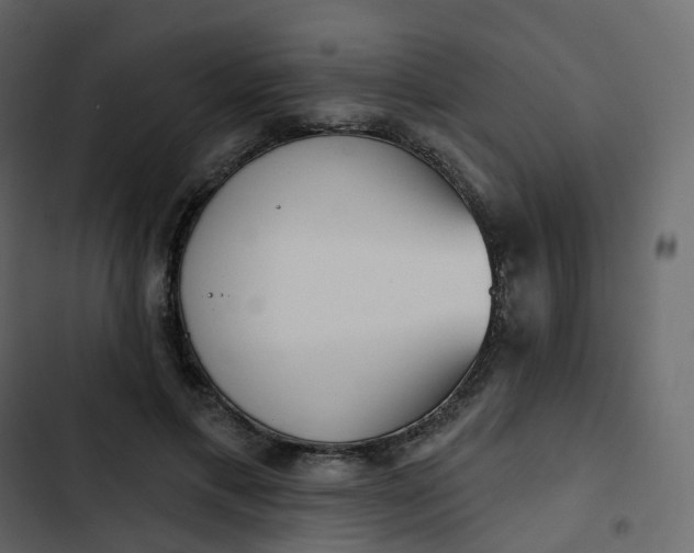 X0000102870597200809021449