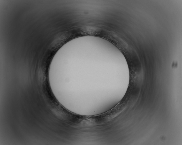 X0000102870599200809021449