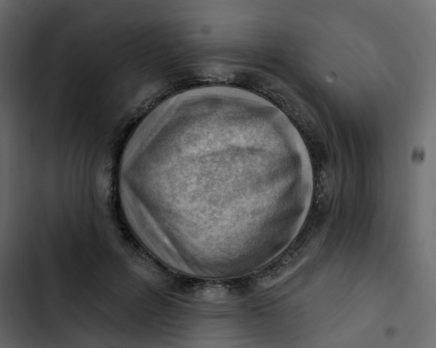 X0000102870600200809021449