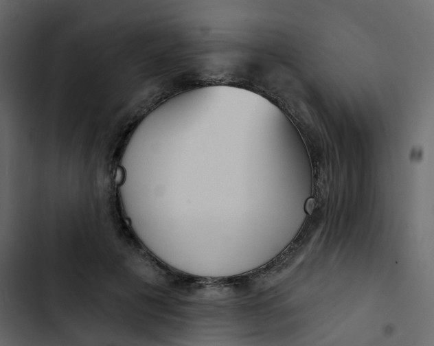 X0000102870601200809021449