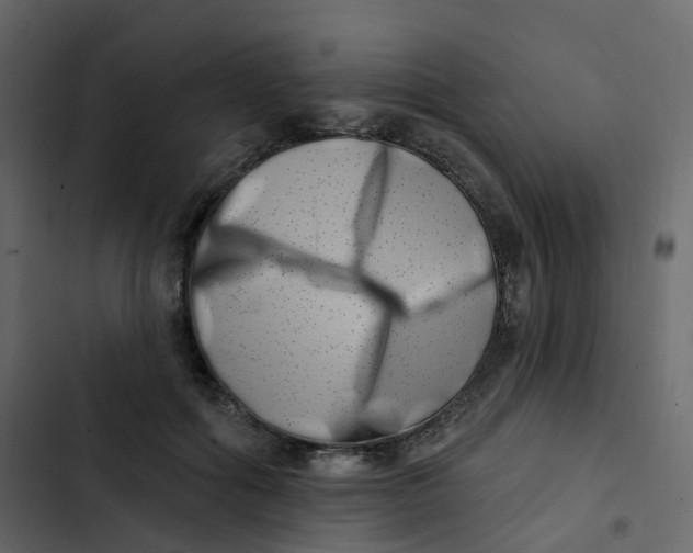 X0000102870602200809021449