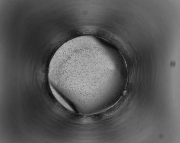 X0000102870604200809021449