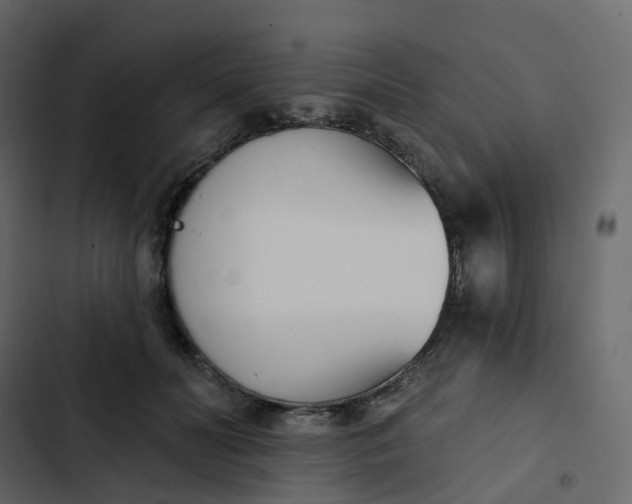 X0000102870606200809021449