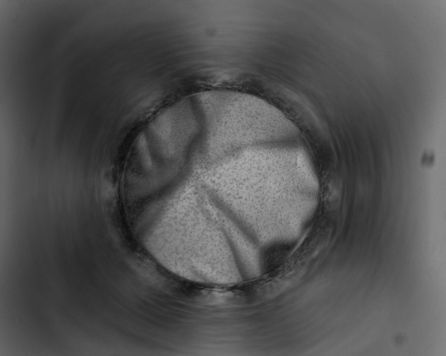 X0000102870607200809021449