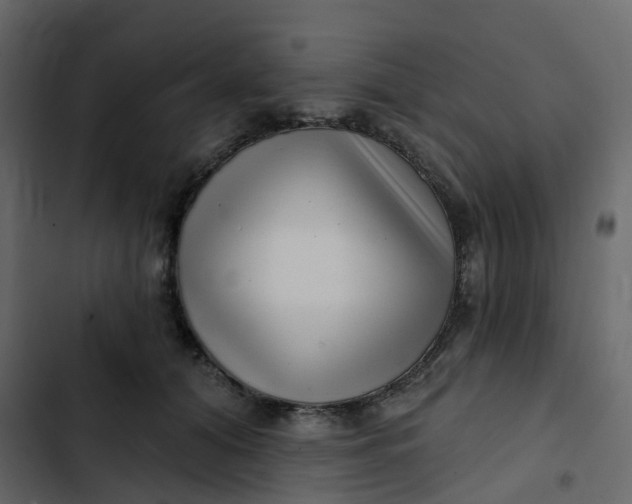 X0000102870608200809021449