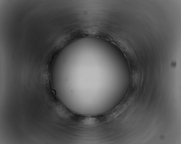 X0000102870609200809021449