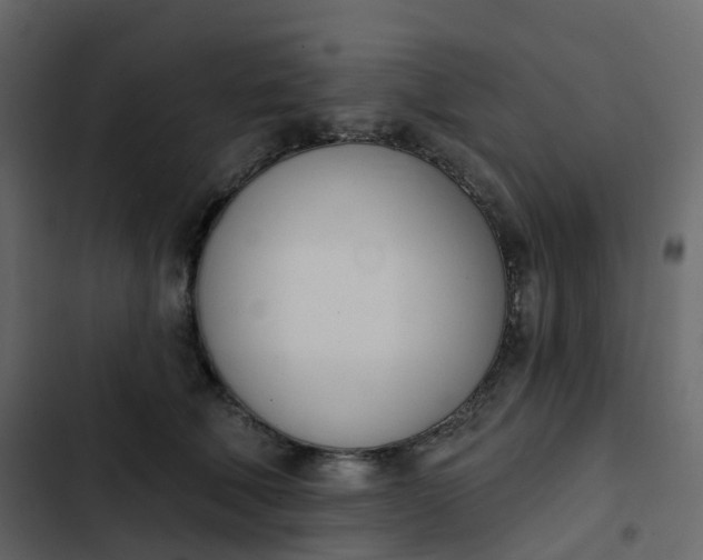 X0000102870610200809021449