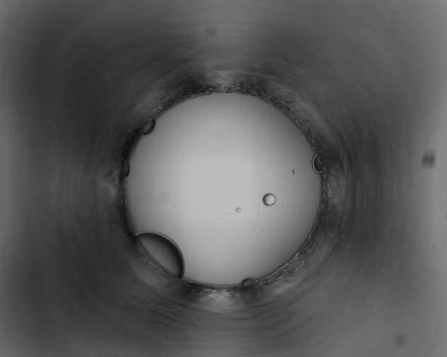 X0000102870611200809021449