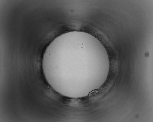 X0000102870612200809021449