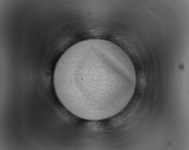 X0000102870615200809021449