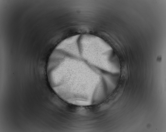 X0000102870616200809021449