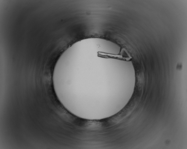 X0000102870617200809021449