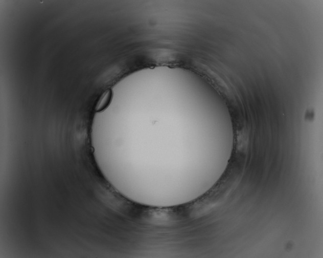 X0000102870618200809021449