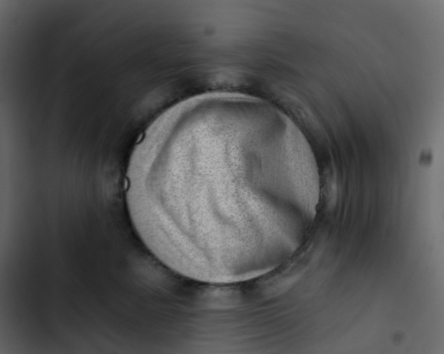 X0000102870619200809021449