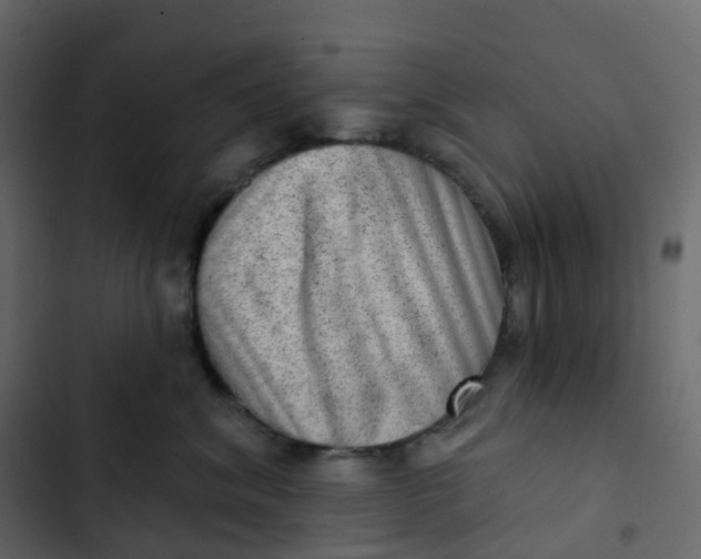 X0000102870620200809021449