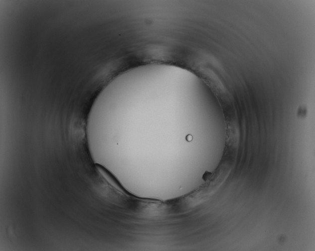 X0000102870621200809021449