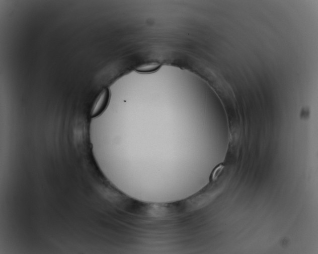 X0000102870623200809021449