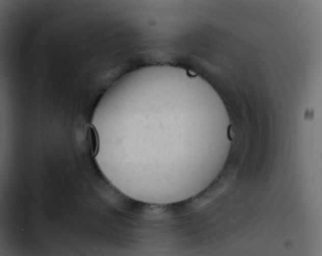 X0000102870624200809021449