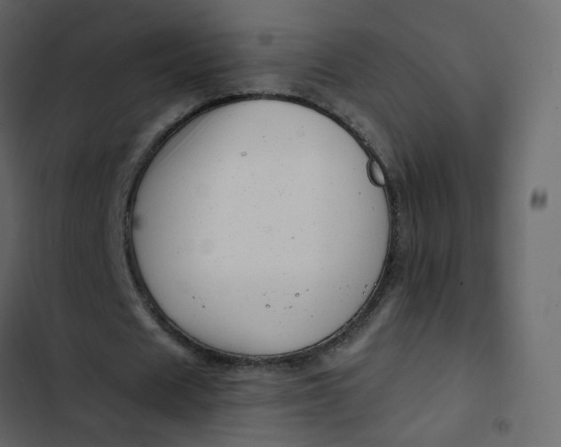 X0000102870625200809021448