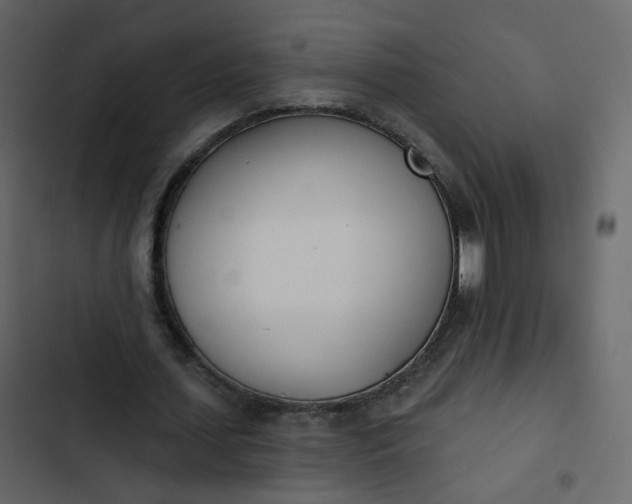 X0000102870627200809021448