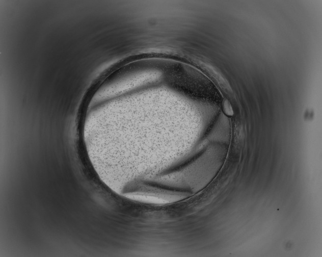 X0000102870628200809021448