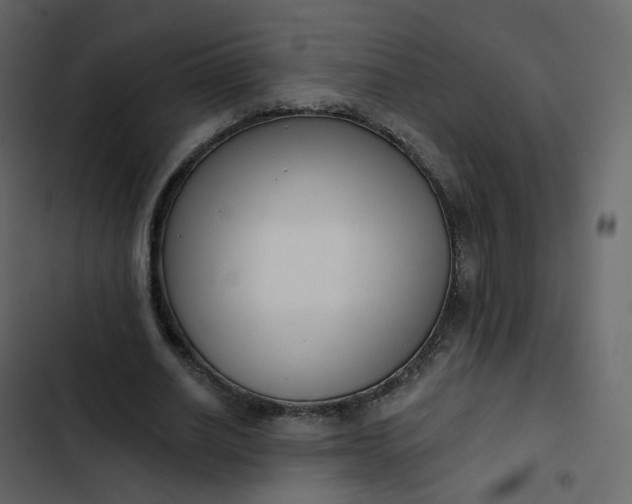 X0000102870630200809021448