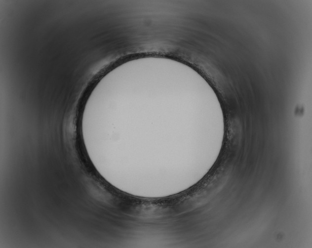 X0000102870632200809021448