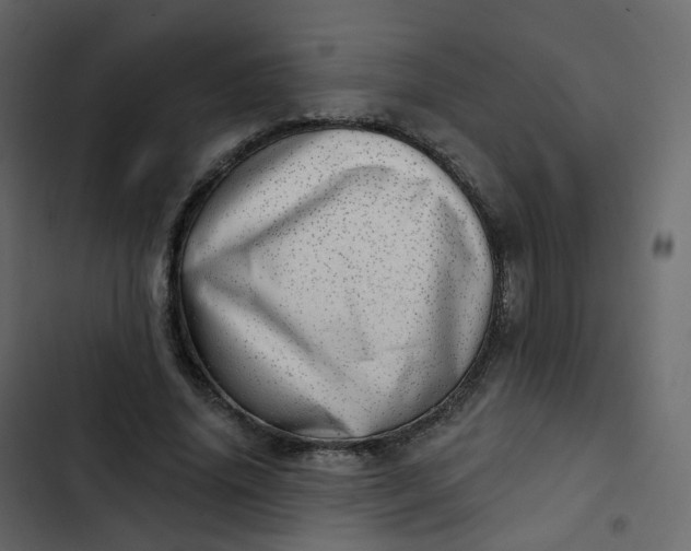 X0000102870636200809021448