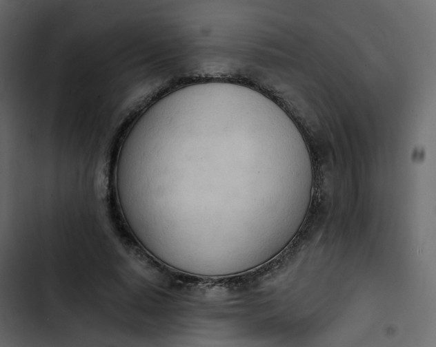 X0000102870640200809021448