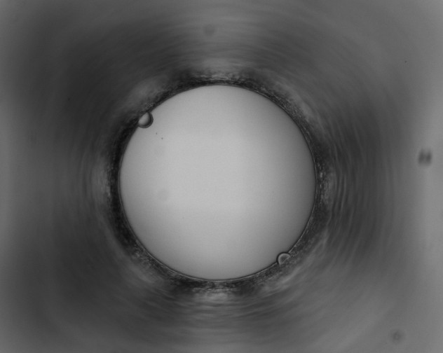 X0000102870643200809021448