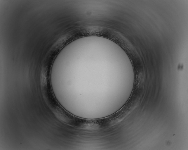 X0000102870644200809021448