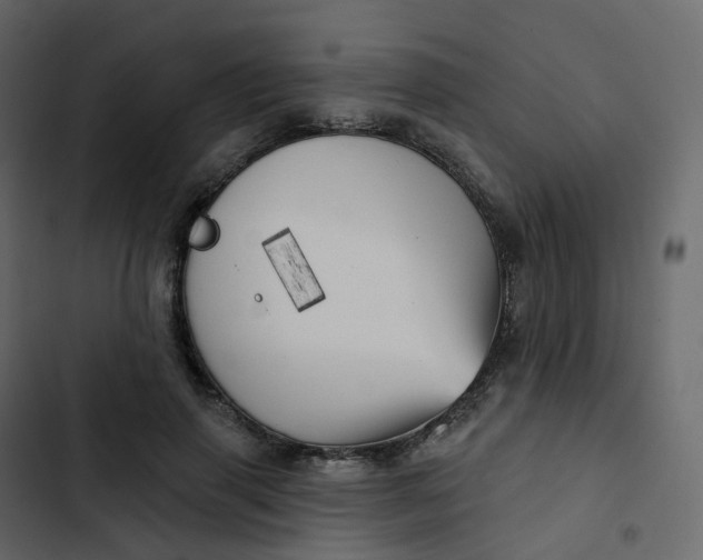 X0000102870645200809021448