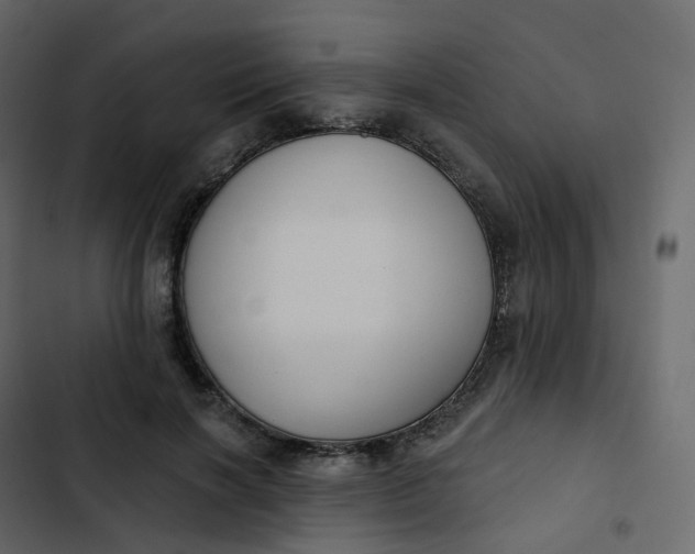 X0000102870646200809021448