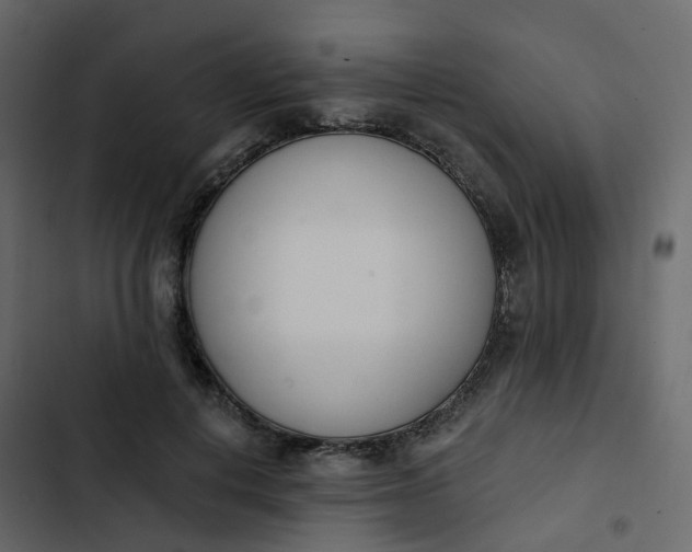 X0000102870648200809021448