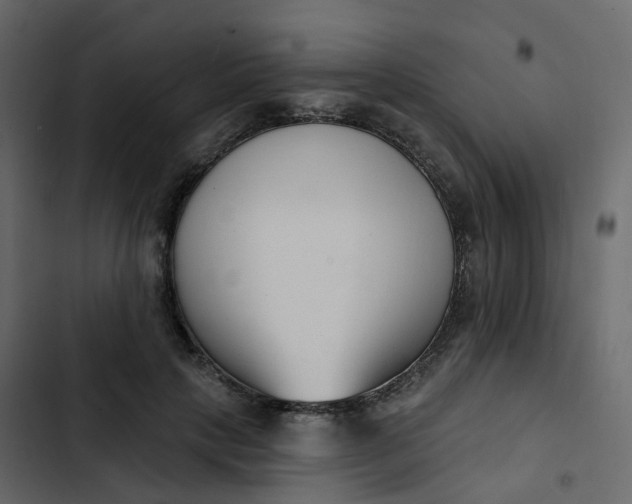 X0000102870649200809021448