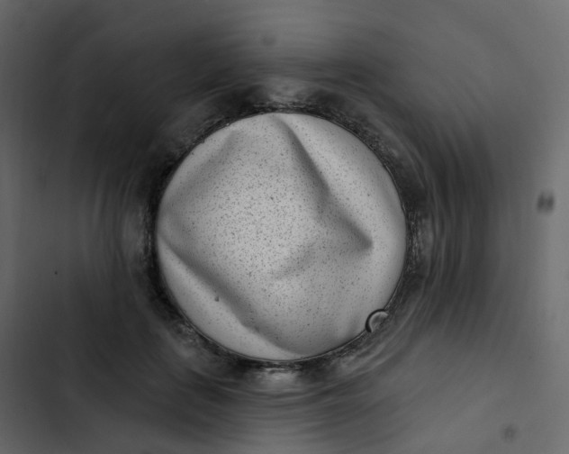 X0000102870651200809021448