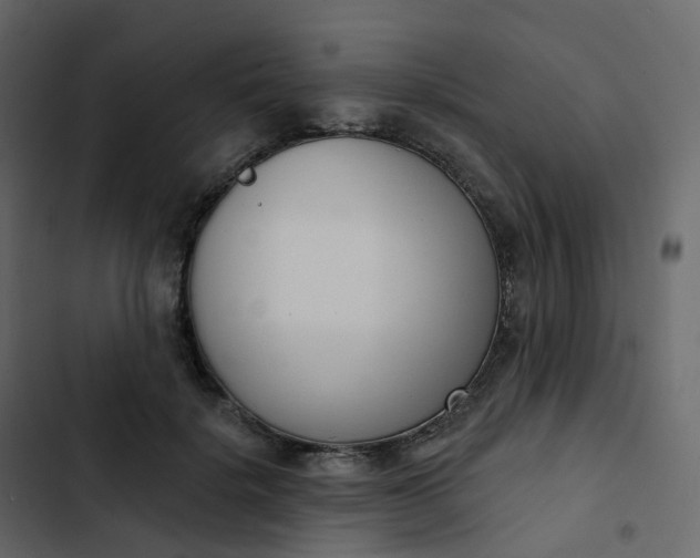 X0000102870652200809021448