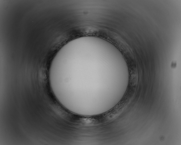 X0000102870654200809021448