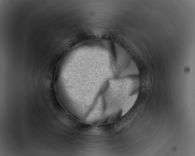 X0000102870656200809021448