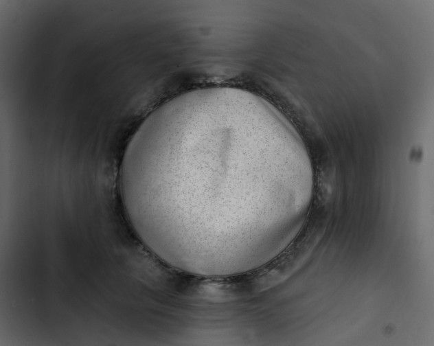 X0000102870657200809021448