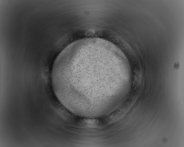 X0000102870659200809021448