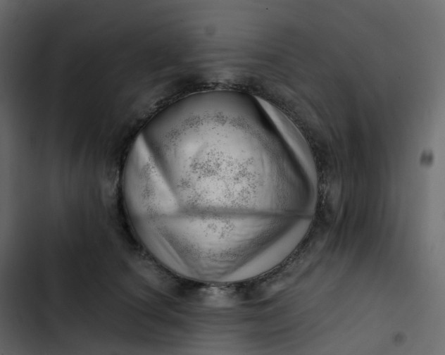 X0000102870660200809021448