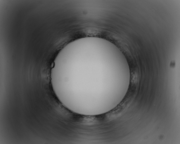 X0000102870666200809021449