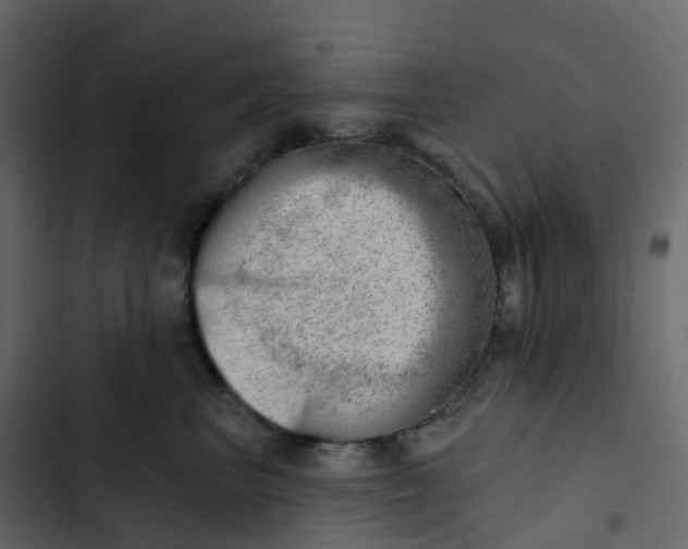 X0000102870667200809021449