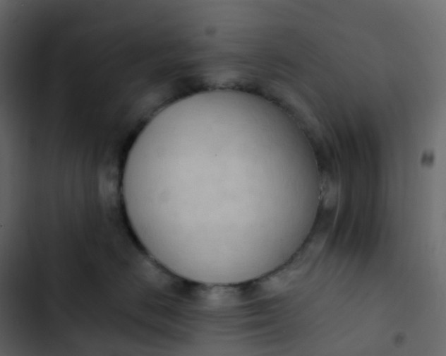 X0000102870670200809021449