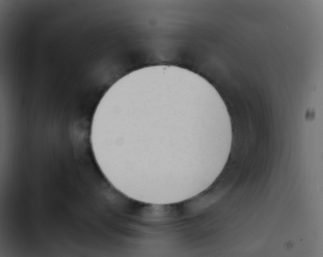 X0000102870672200809021449